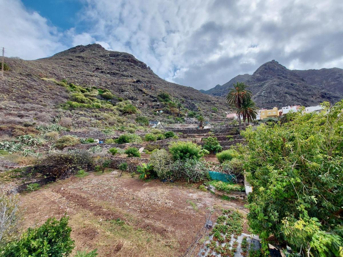 Casa Ana Con Jardin Lägenhet Punta Del Hidalgo Exteriör bild
